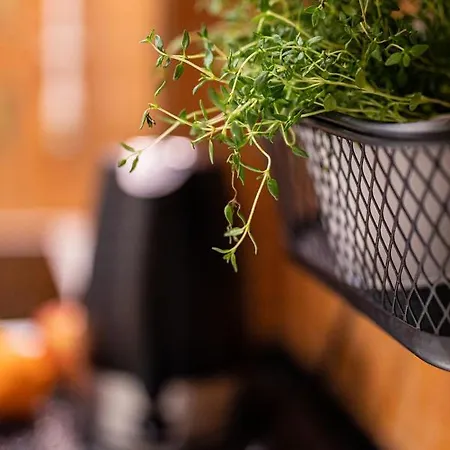 Starówka * Olsztyn (Warmian-Masurian)