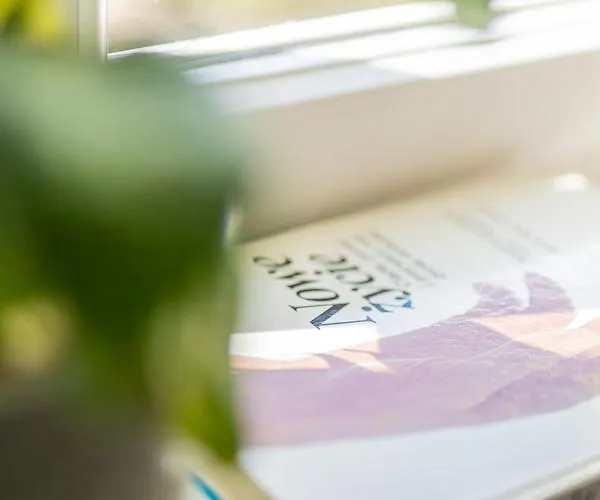 Starowka Apartment *