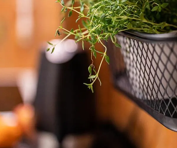 Starowka * Olsztyn (Warmian-Masurian)