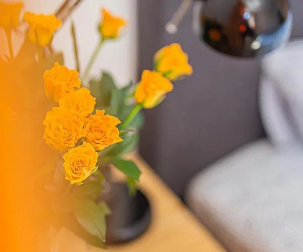 Apartment Starowka *